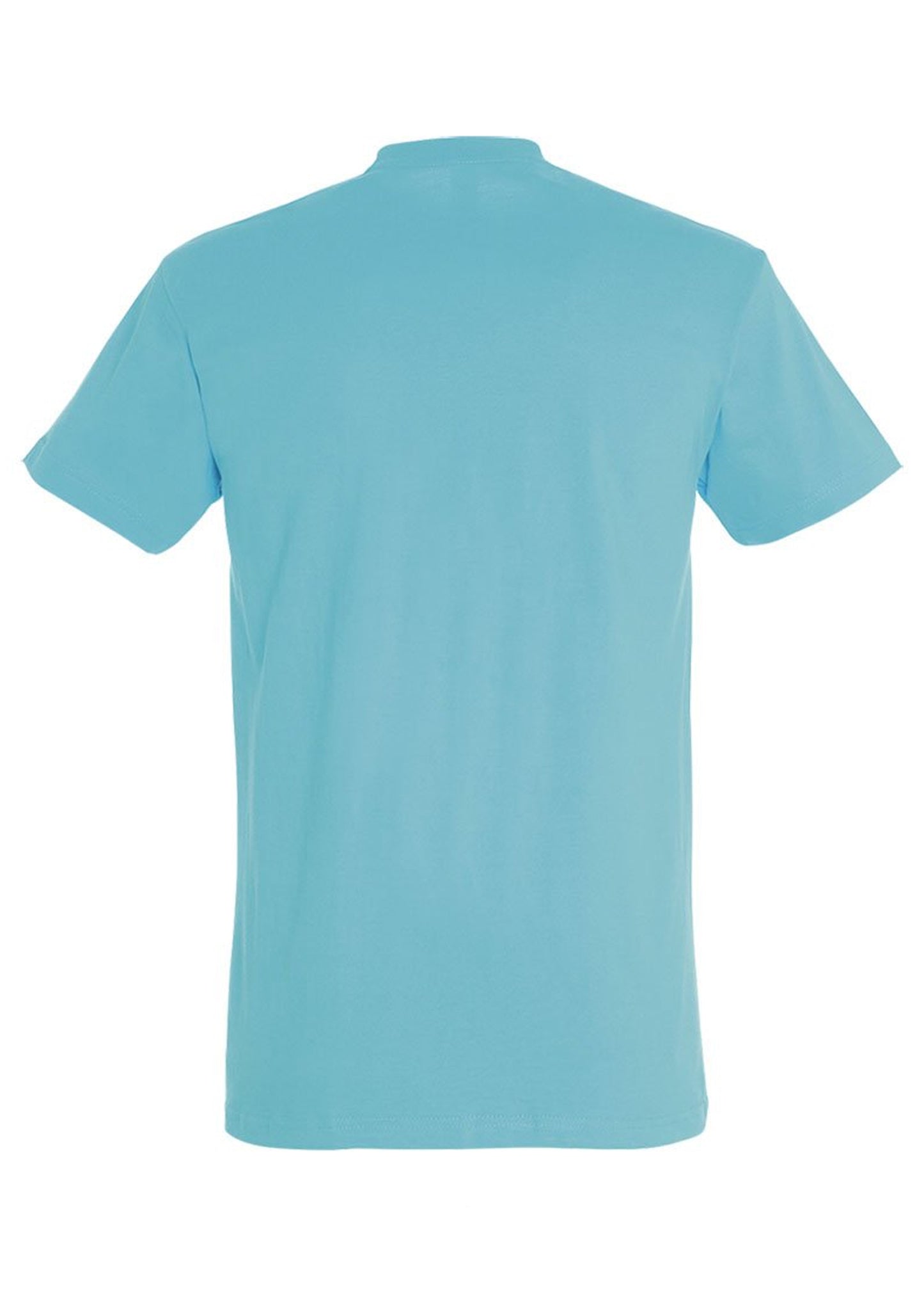Rückansicht atoll blaues T-Shirt