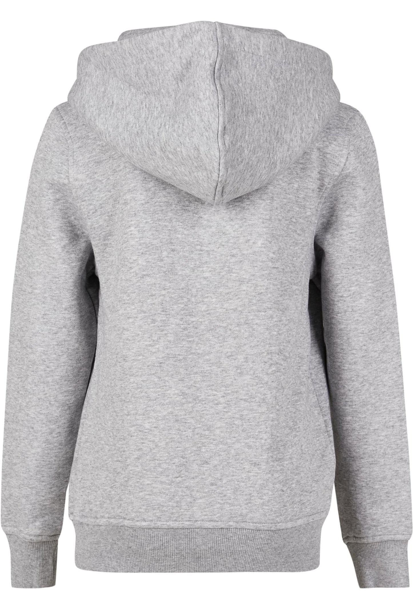 Kids Hoodie Heather Grey hinten trial