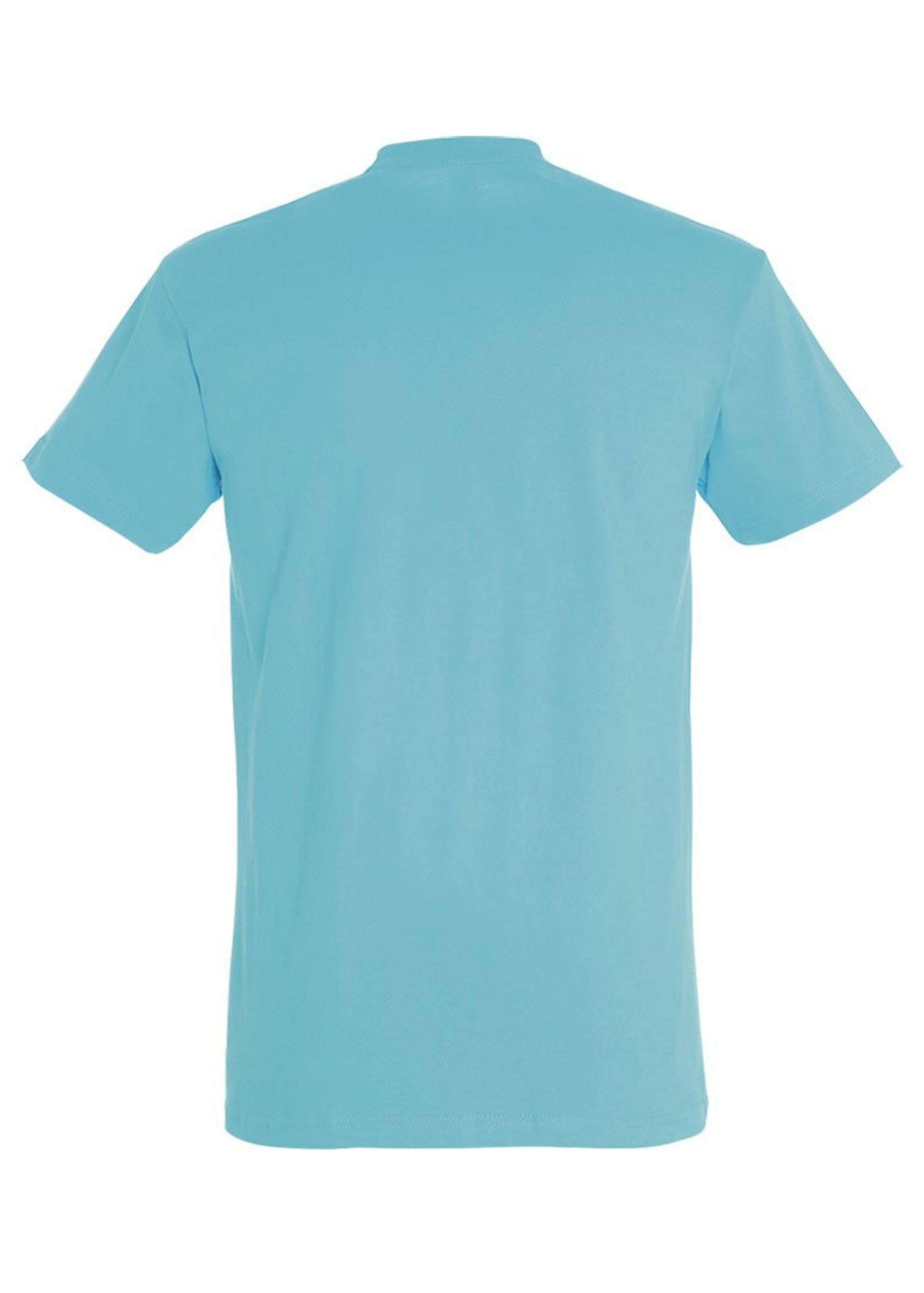 Rückansicht atoll blaues T-Shirt